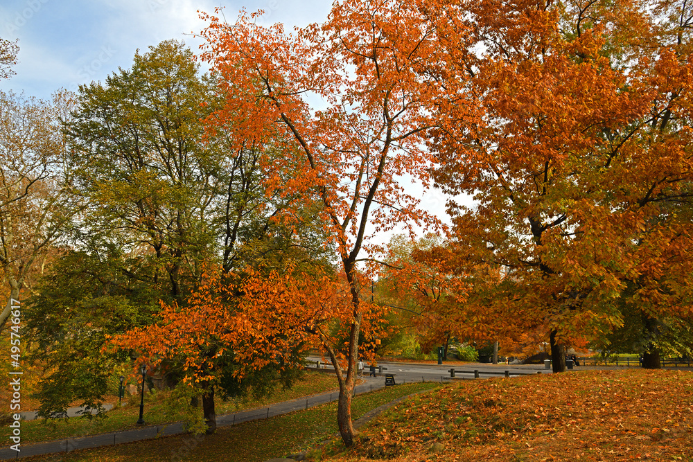 Fantastic bright and picturesque autumn in Central Park. New York City