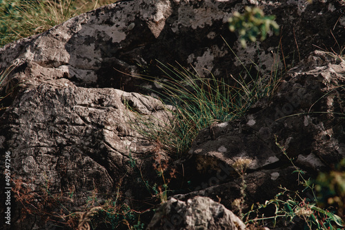 Stones in the area of Cheile Valisoarei, Romania photo