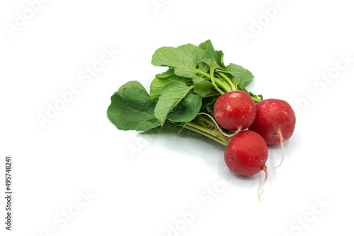 Radish isolated on white background top view