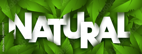 Natural concept banner with lush green foliage. Vector Illustration