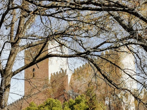 view of the castle through the trees in the garden