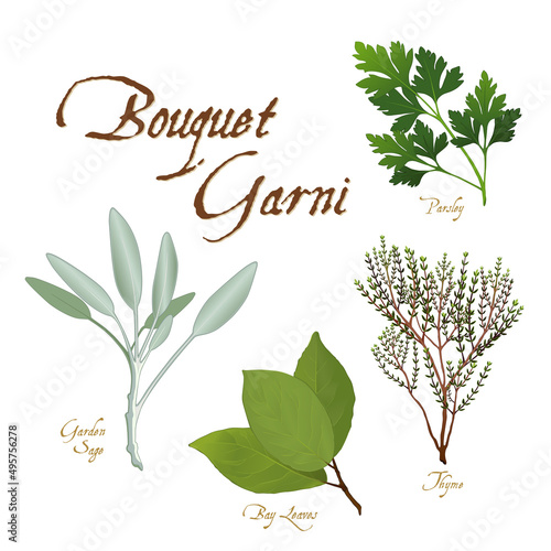 Bouquet Garni, classic French herb blend for cooking: Bay Leaves, English Thyme, Garden Sage, Italian Flat Leaf Parsley isolated on white. 