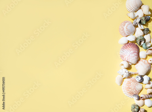 Seashells on a bright yellow background. The concept of summer holidays. Top view and copy space