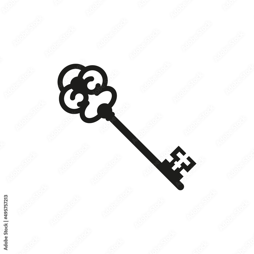 The key icon. Simple flat vector illustration on a white background The key icon. Simple flat vector illustration on a white background