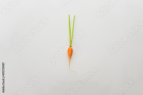 tiny orange carrot isolated on white background. tiny size. heathy and nutrition concepts. vitamin. top view