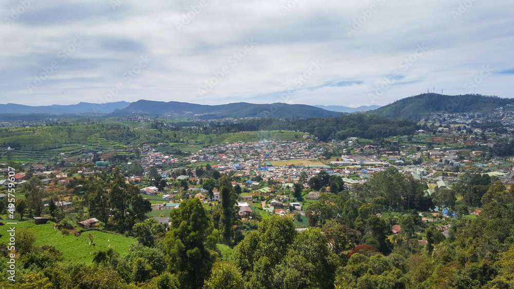 Naklejka premium landscape with trees and clouds