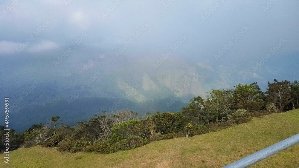 Fototapeta premium landscape with fog