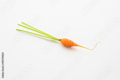 tiny orange carrot isolated on white background. tiny size. heathy and nutrition concepts. vitamin.