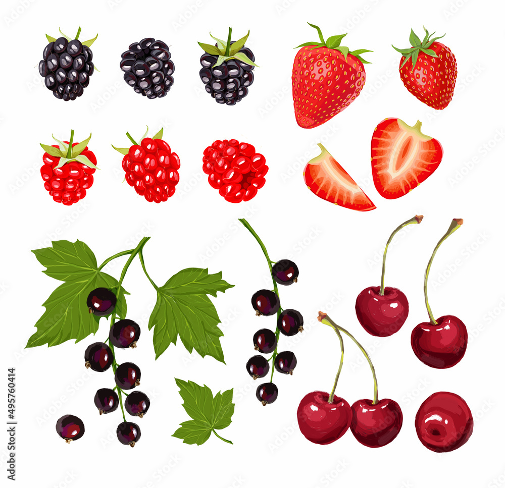 Set of berries on a white background. Blackberries, raspberries, strawberries, black currants, cherries. Stock illustration. Set of berries on a white background. Blackberries, raspberries, strawberries, black currants, cherries. Stock illustration.