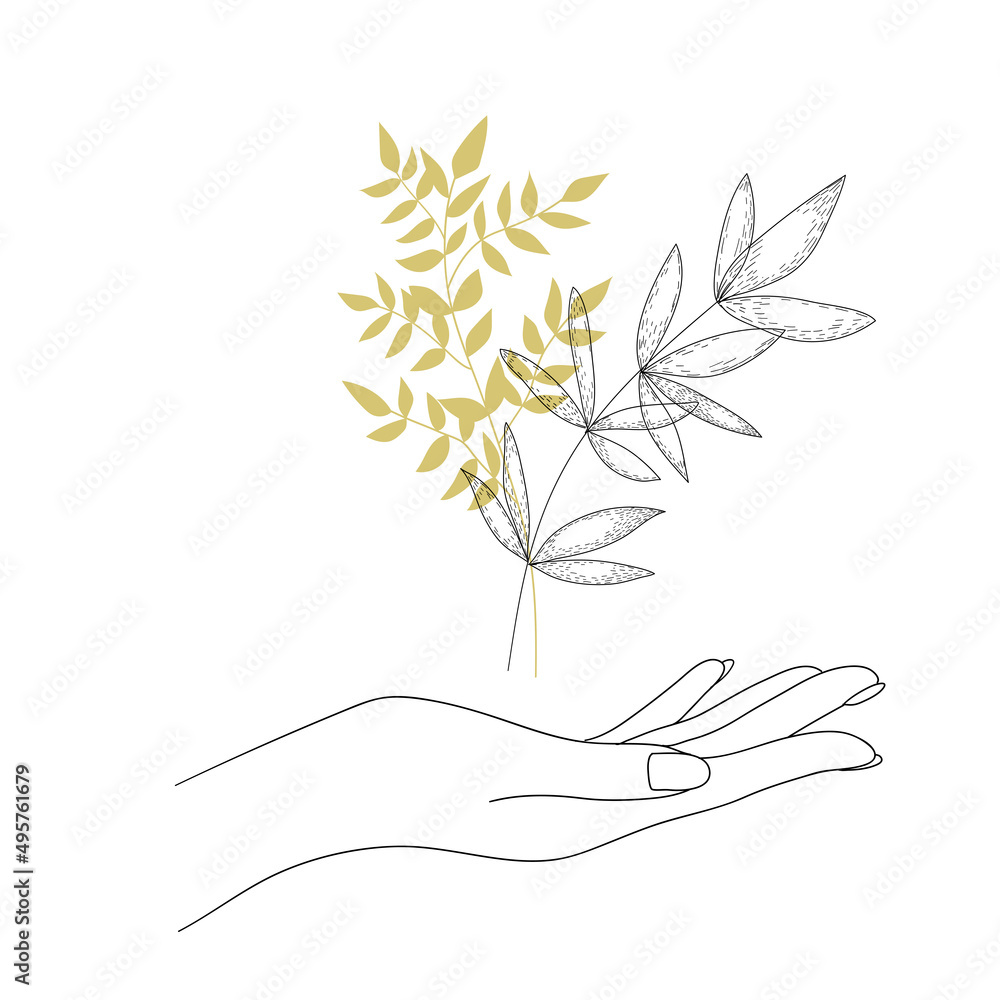 Woman's Hand holding branch. Woman's Hand holding branch.
