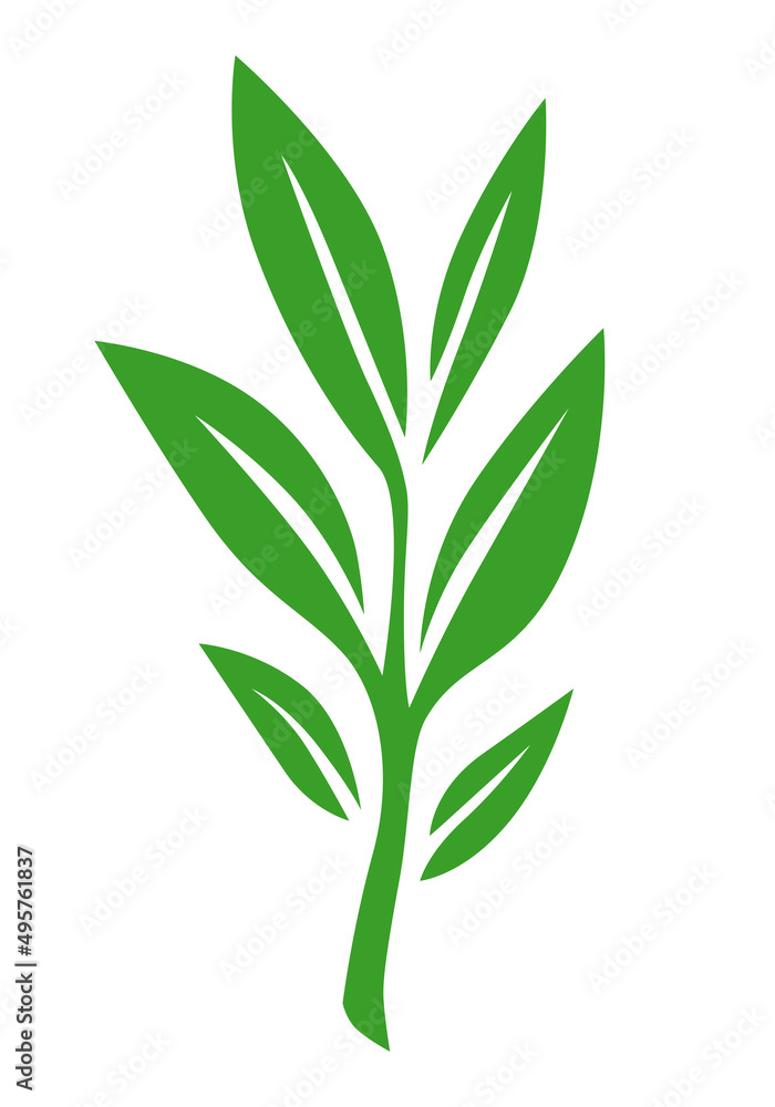 Fototapeta premium Branch with leaves eco icon