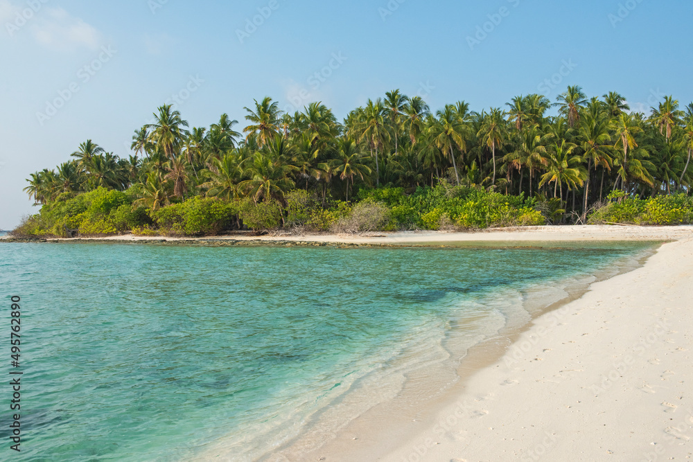 Remote tropical island with thick vegetation an coconut palm trees