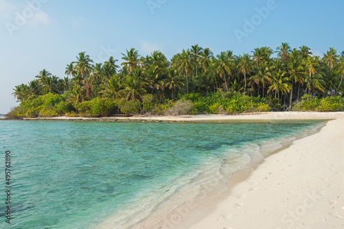 Remote tropical island with thick vegetation an coconut palm trees