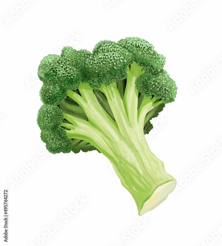 Broccoli on a white background. Stock illustration.