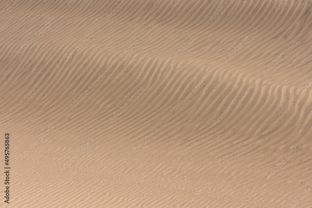 Namibia, grains of sand on the dunes, texture, background
Namibia, grains of sand on the dunes, texture, background