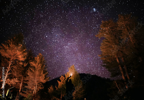Beautiful view of trees and a mountain with a beautiful starry sk