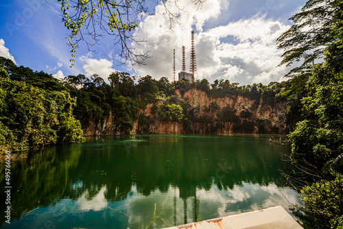Photography Bukit Timah Nature Reserve Singapore