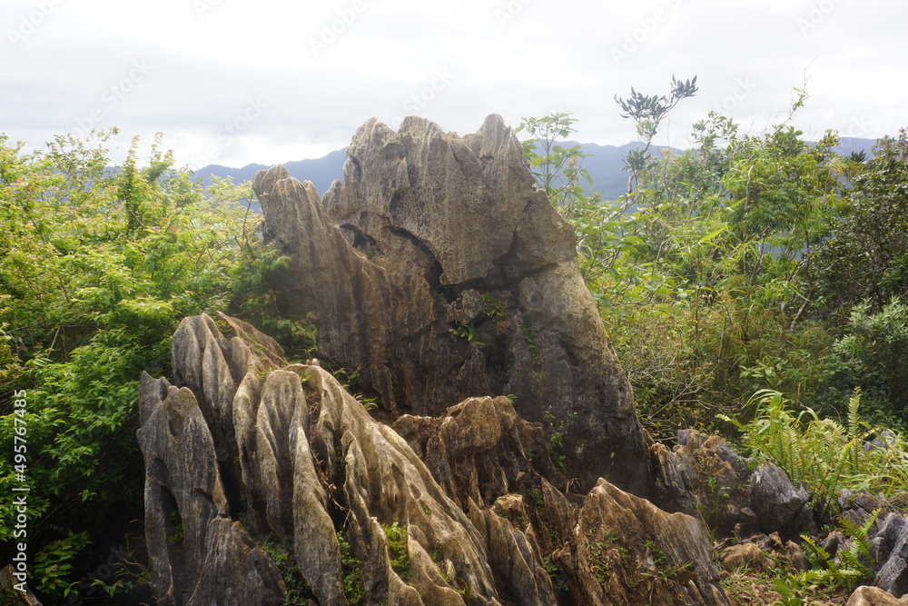 limestone karst rock outcrop daraitan mountain philippines 9