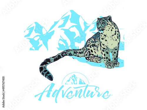 Snow Leopard