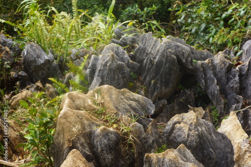 limestone karst rock outcrop daraitan mountain philippines 10 © MichaelBulosan