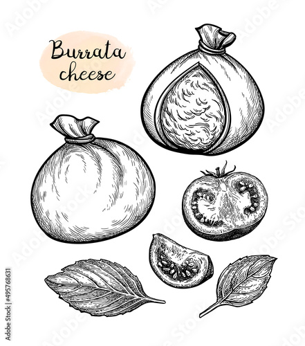 Burrata cheese ink sketch set.