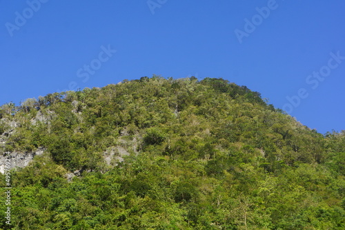 limestone karst hill 2