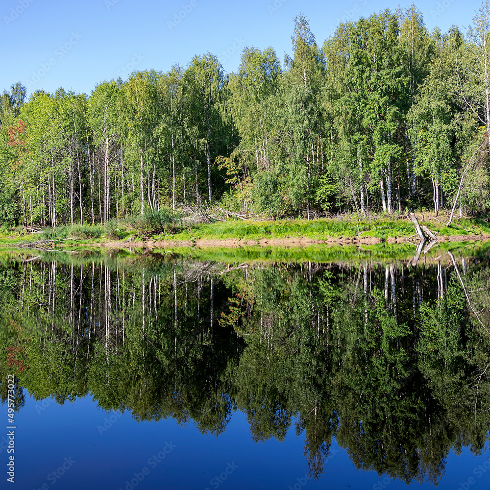 Obraz premium lake summer landscape