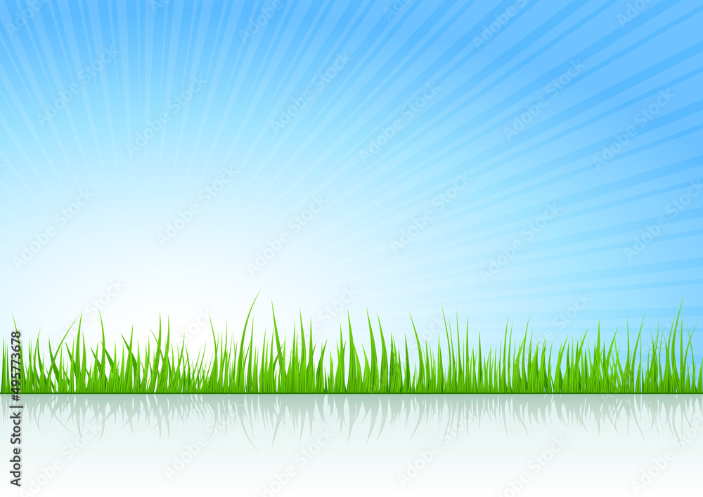 Summer vector illustration background with grass