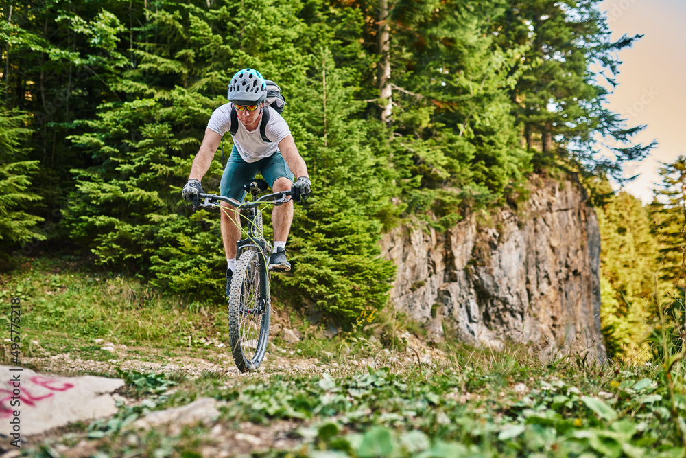 Fototapeta premium Cyclist Riding the Bike on the Trail in the Forest. Man cycling on enduro trail track. Sport fitness motivation and inspiration. Extreme Sport Concept. Selective focus