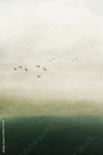 Fototapeta nature landscape with birds flying free in the sky
