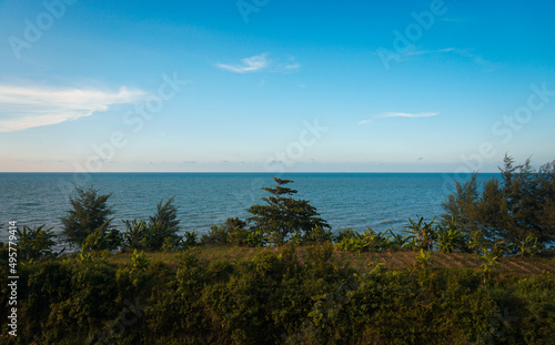 beautiful view of green trees by the sea