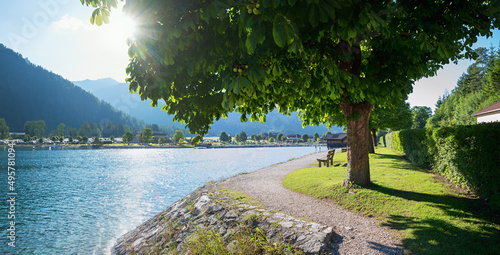 lake shore Achensee north with bench under chestnut tree, tourist resort tirol photo