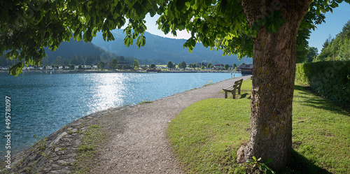 lake shore Achensee north with bench under chestnut tree, tourist resort tirol photo