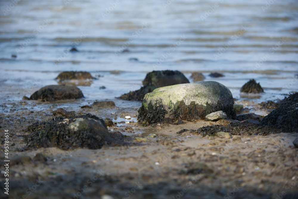 Steine im Wasser (Ostsee) Steine im Wasser (Ostsee)