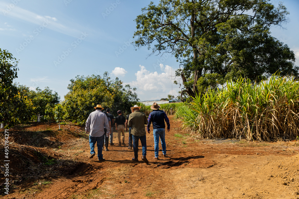 Fototapeta premium Hombres caminando en el campo