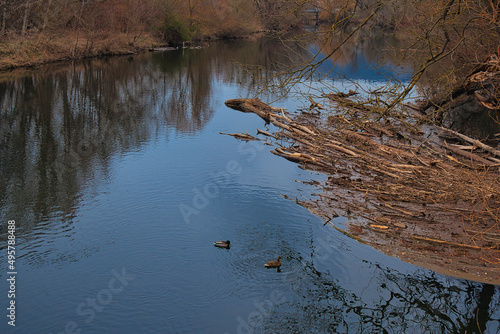 Fluss Saale, Saaletal im Frühling, in Jena, Thüringen
