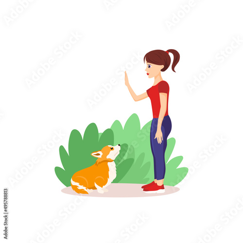 Vector illustration in cartoon style isolated on white background. Girl training welsh corgi in the park. Sit command