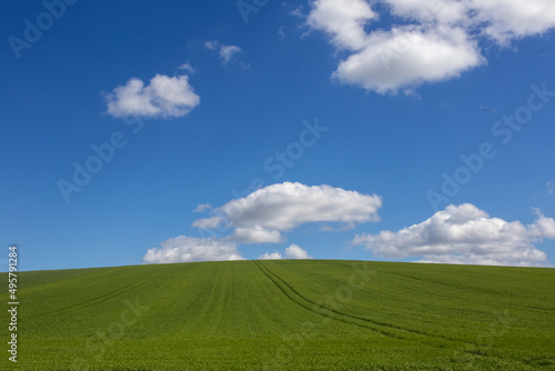 A green field and blue sky  background and copy space