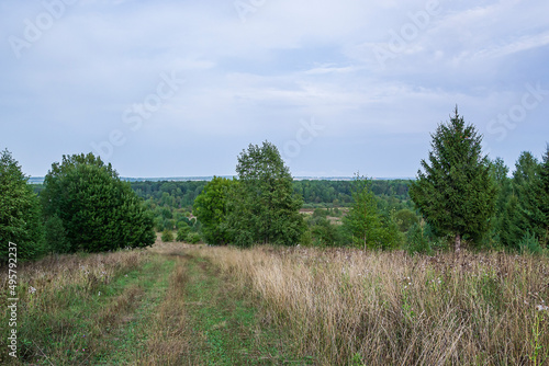 landscape, forest road © ork_0013