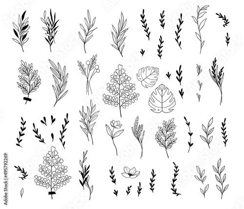 Trendy vector foliage drawings in linear style. Black elements of hand drawn greenery branch, flowers, herbs and leaves. Line and silhouette. Perfect logo for your brand: packaging, cosmetic, jewelry