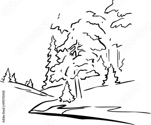 Forests and glade hand draw vector illustration