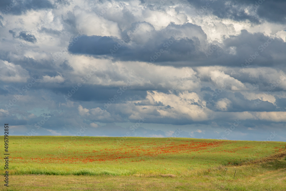 landscape with clouds, a field with red poppies landscape with clouds, a field with red poppies