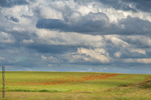 landscape with clouds, a field with red poppies