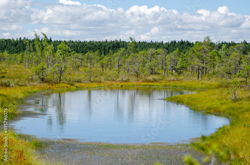 landscape with swamp lake and blue sky