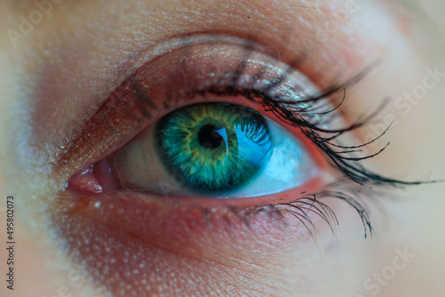 Closeup shot of a human eye photo