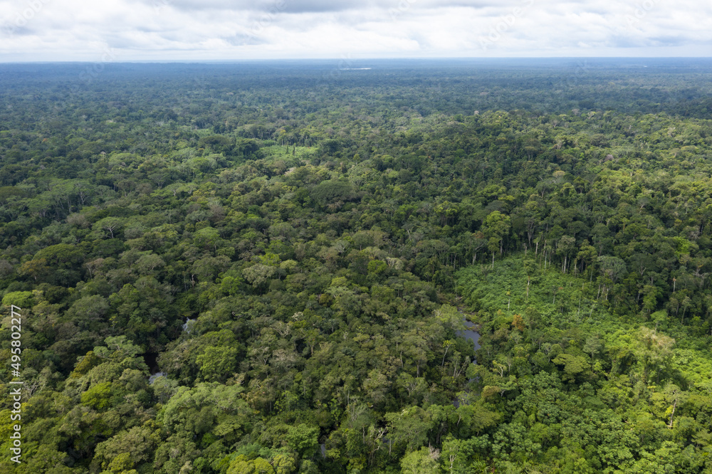 Aerial view over a vast tropical forest canopy: the amazon forest runs from Ecuador to Brazil