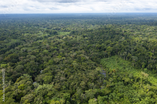 Aerial view over a vast tropical forest canopy: the amazon forest runs from Ecuador to Brazil