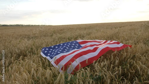 Big usa flag lies on the ears of wheat in the field