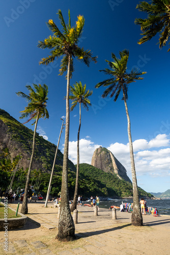 Beautiful view from city beach to green Sugar Loaf Mountain