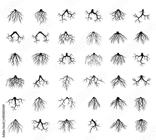 Set black Roots. Vector outline Illustration. © topor